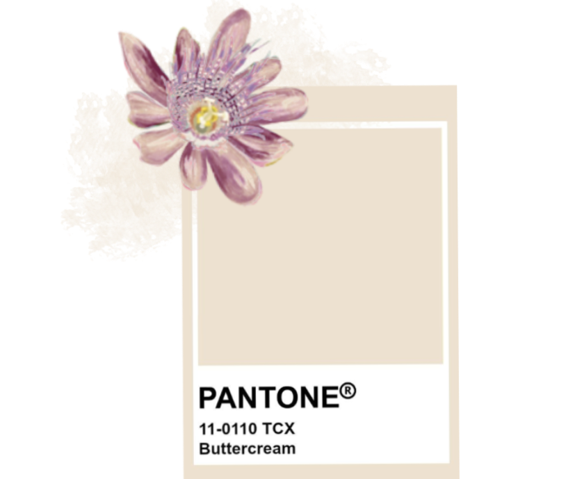 color 3