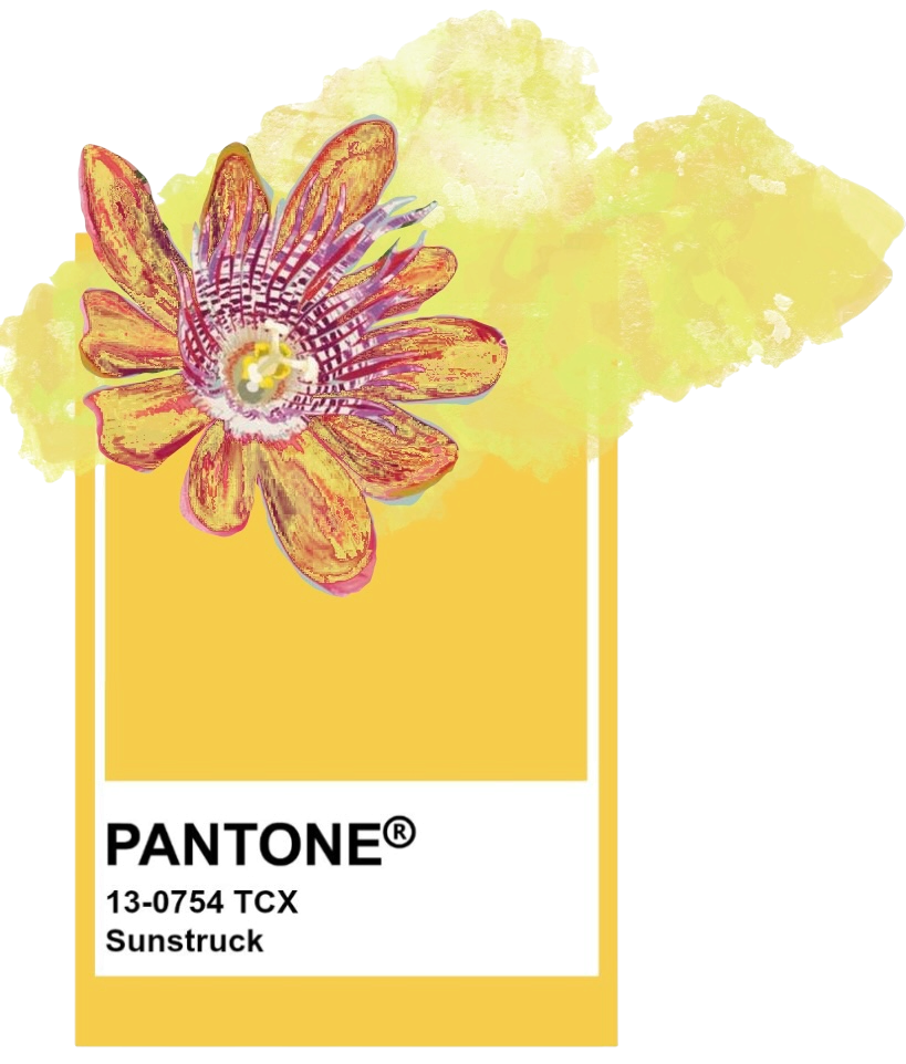color 4