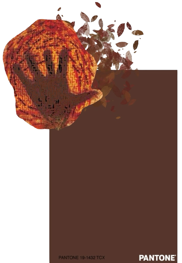 color 1