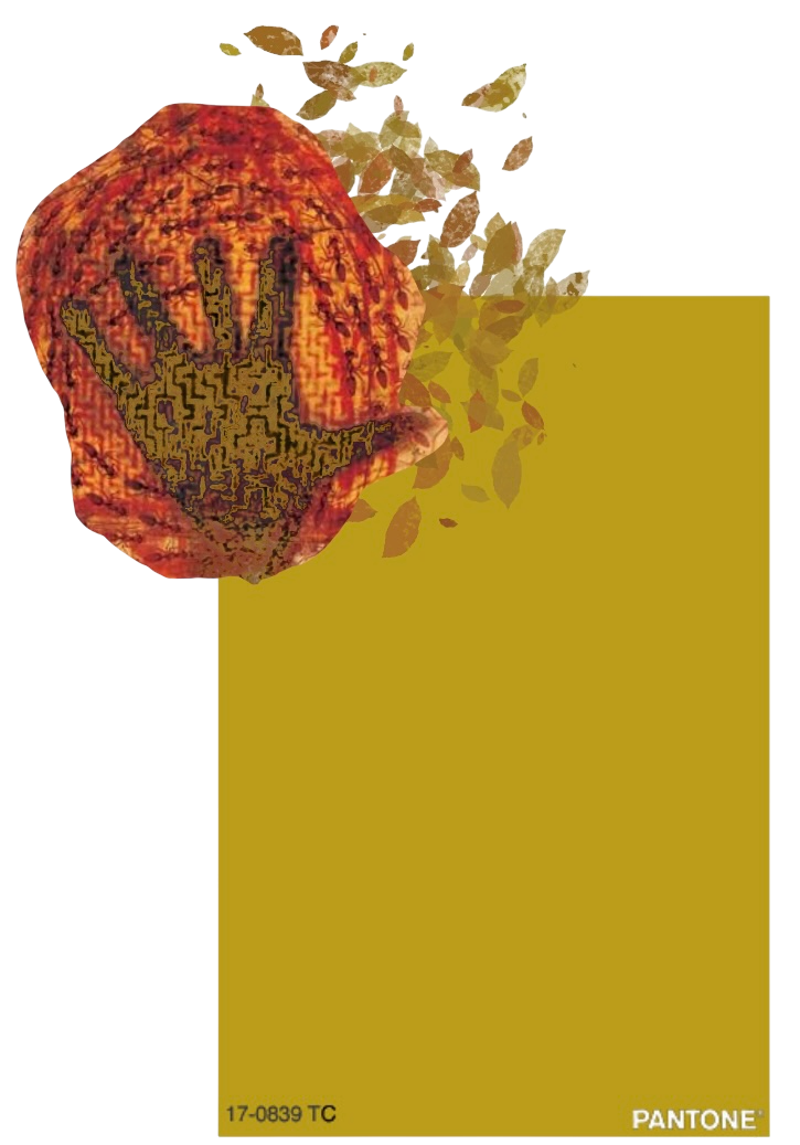 color 2