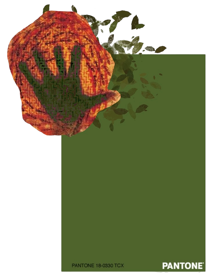 color 3