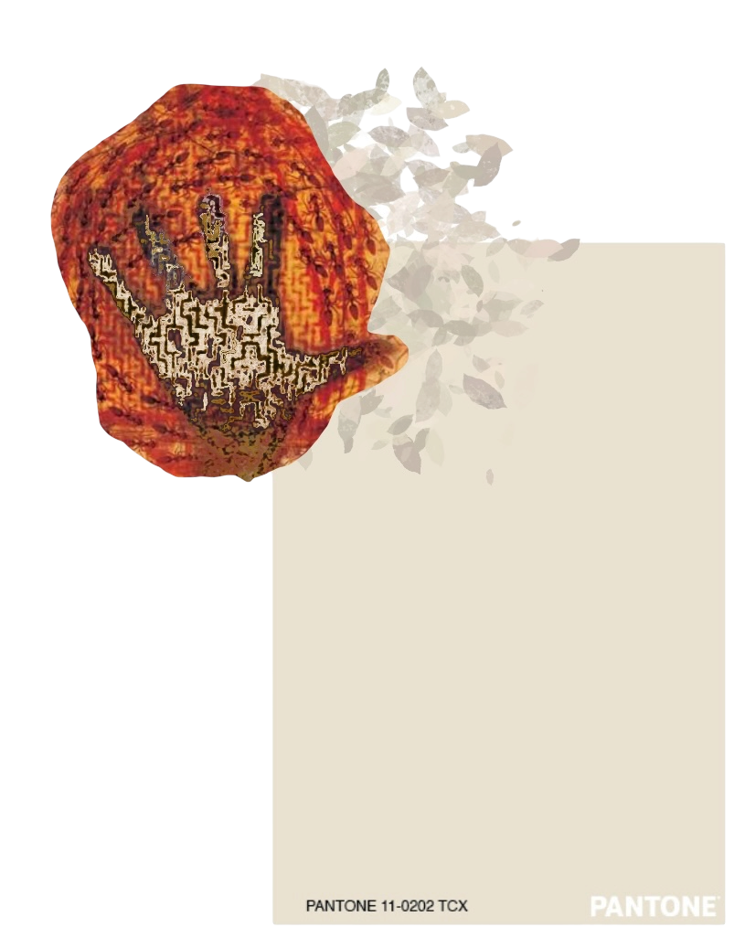 color 4