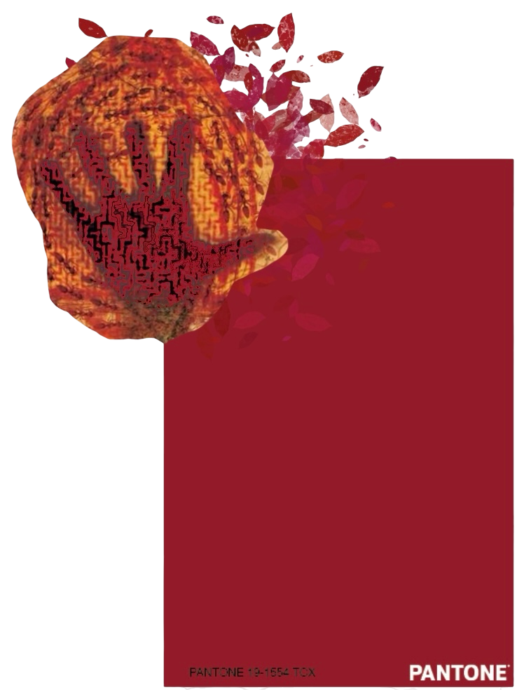 color 5